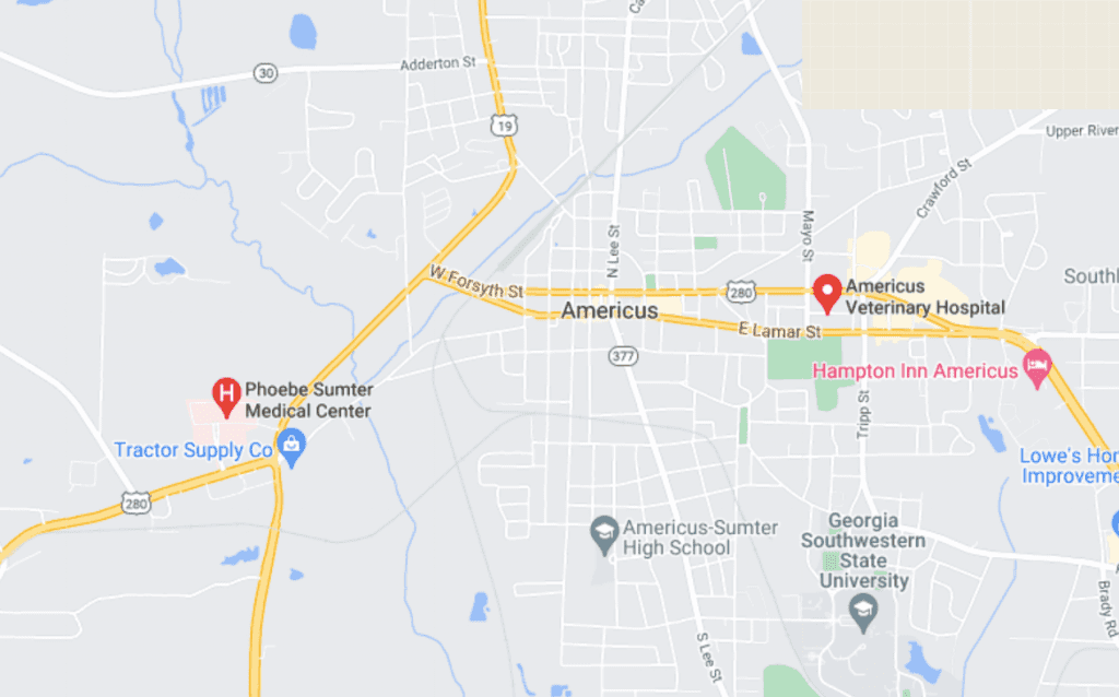 hospitales en seguros médicos en Americus